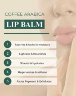 Coffee Arabica Lip Balm - Image 2