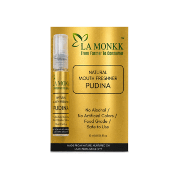 Pudina Mouth Freshener